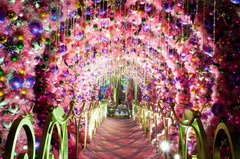 诸侯快讯·ok1133(中国区)官方网站