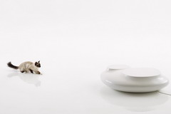 诸侯快讯·ok1133(中国区)官方网站