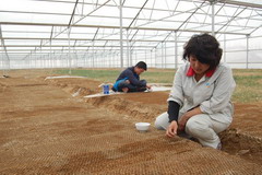 诸侯快讯·ok1133(中国区)官方网站