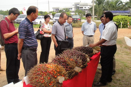 诸侯快讯·ok1133(中国区)官方网站