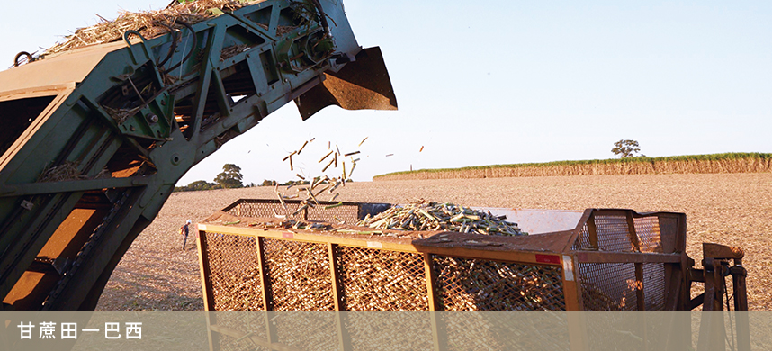 诸侯快讯·ok1133(中国区)官方网站