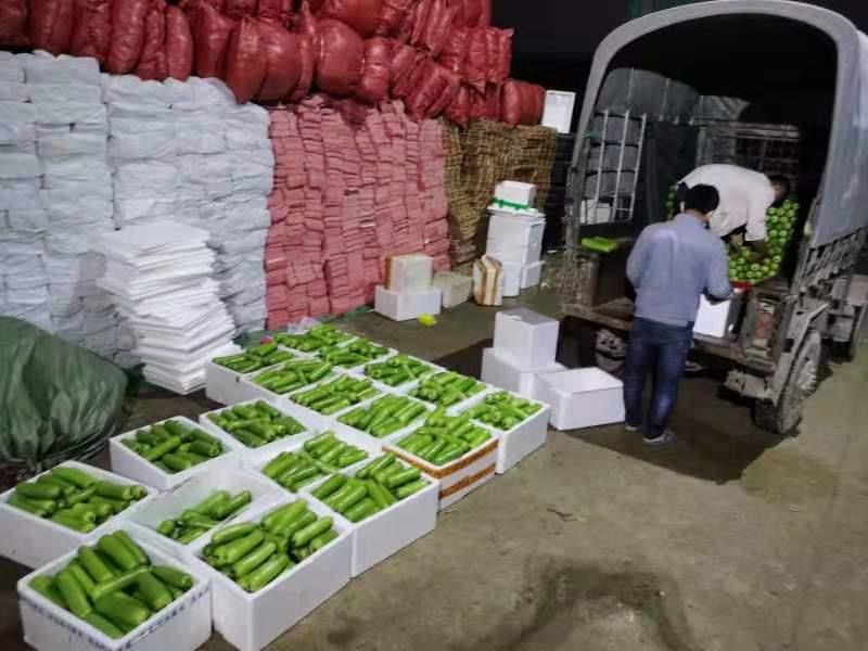 诸侯快讯·ok1133(中国区)官方网站