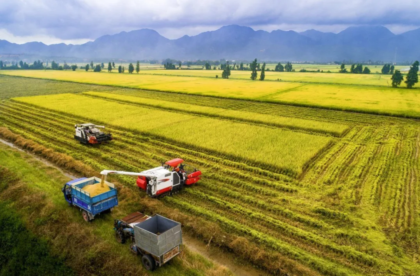 诸侯快讯·ok1133(中国区)官方网站