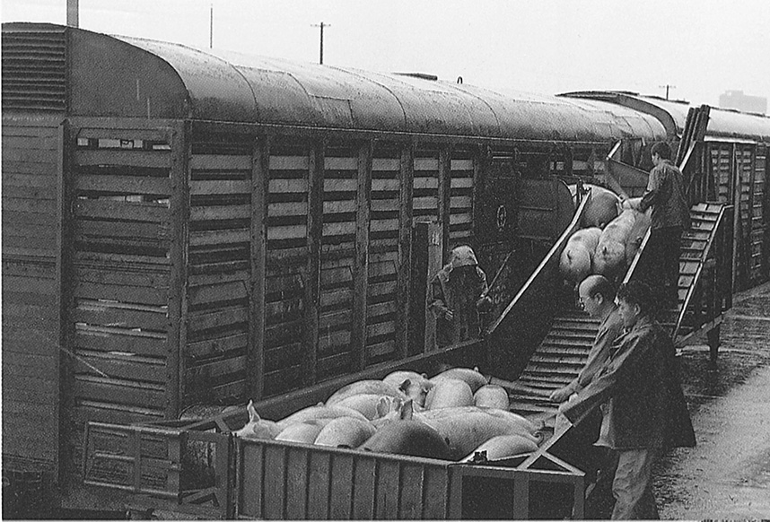 诸侯快讯·ok1133(中国区)官方网站