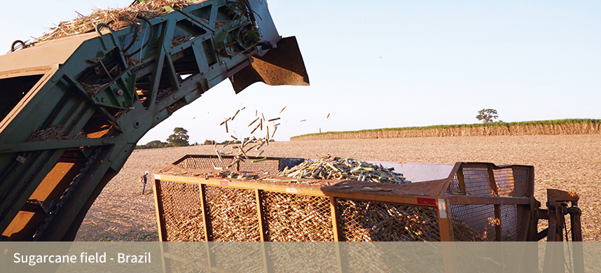 诸侯快讯·ok1133(中国区)官方网站